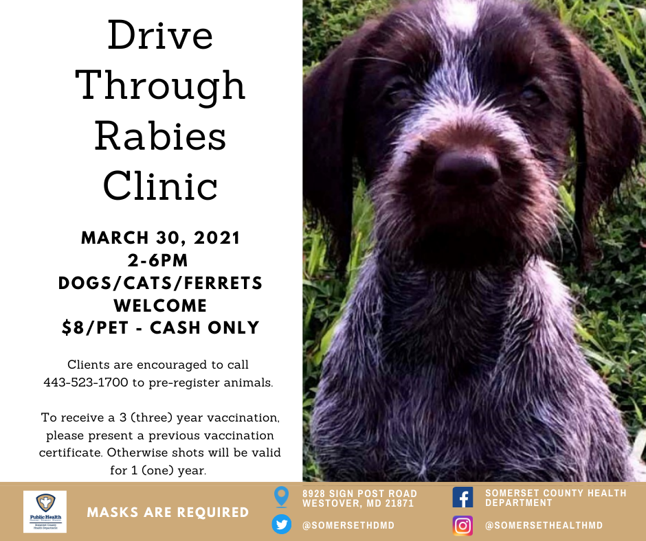 flyer of upcoming rabies clinic on 3/30/21